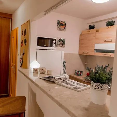 Sloneczny * Zbąszyń