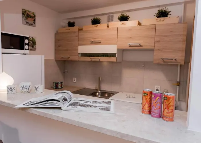 Sloneczny Apartamento Zbąszyń