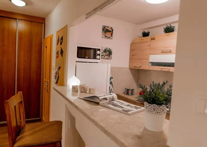 Sloneczny * Zbąszyń